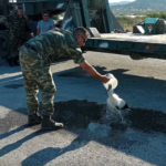 Λέσβος: Στρατιωτικός διέσωσε πελαργό που είχε καεί στα πόδια από την πυρκαγιά