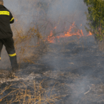 Πρόστιμο για πυρκαγιά σε ξηρά χόρτα στο Λαγκαδά Θεσσαλονίκης