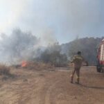 Πυροσβεστική: 44 δασικές πυρκαγιές εκδηλώθηκαν το τελευταίο 24ωρο (21/7/2022)