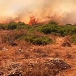 Άμεσα τέθηκε υπό μερικό έλεγχο πυρκαγιά σε αγροτική έκταση στην Κέρκυρα