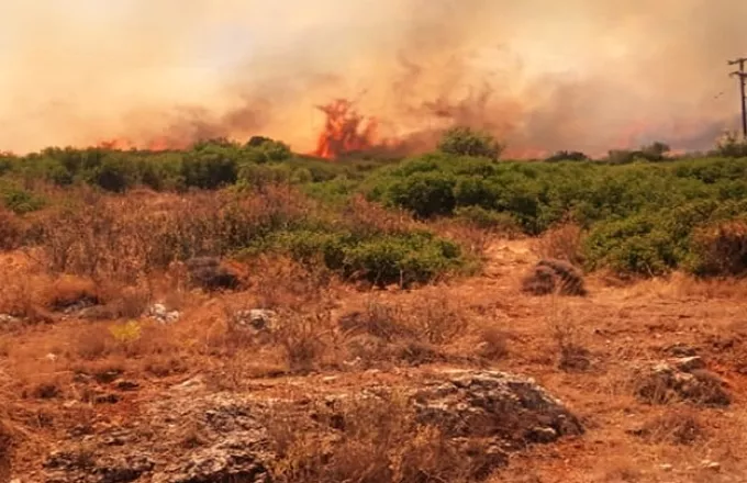 Άμεσα τέθηκε υπό μερικό έλεγχο πυρκαγιά σε αγροτική έκταση στην Κέρκυρα