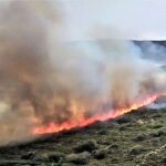 Πυρκαγιά σε εξέλιξη σε χορτολιβαδική έκταση στην Τζιά