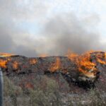 Πυρκαγιά σε χαμηλή βλάστηση στην περιοχή Μόρια Λέσβου