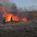 Πύργος: Νέα πυρκαγιά στην έκταση της πρώην λίμνης Μουριάς