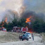 Πυροσβεστική: 49 δασικές πυρκαγιές εκδηλώθηκαν το τελευταίο 24ωρο (31/7/2022)