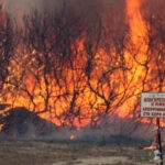 Πυρκαγιά σε δασική έκταση στην περιοχή του Αγίου Κωνσταντίνου στην Κεφαλονιά