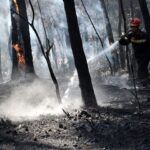 Πυρκαγιά σε δασική έκταση στην Λυκόφη Έβρου - Αμεση επέμβαση της Πυροσβεστικής