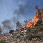 Πυρκαγιά σε αγροτοδασική έκταση στην περιοχή Χάβαρι Ηλείας