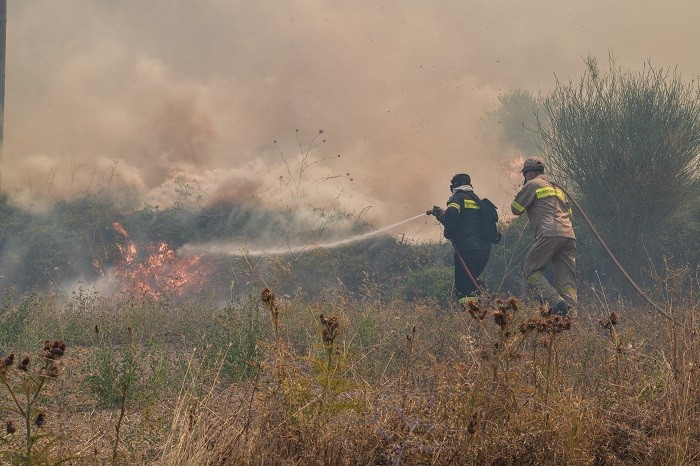 Πυρκαγιά σε χαμηλή βλάστηση στην Λέσβο