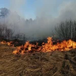 Πυρκαγιά εν υπαίθρω στο Μαρκόπουλο Αττικής