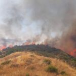 Πυρκαγιά σε δασική έκταση στην περιοχή Προφήτης Ηλίας Πρέβεζας