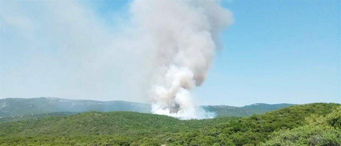 Πυροσβεστική: 23 δασικές πυρκαγιές εκδηλώθηκαν το τελευταίο 24ωρο (16/8/2022)