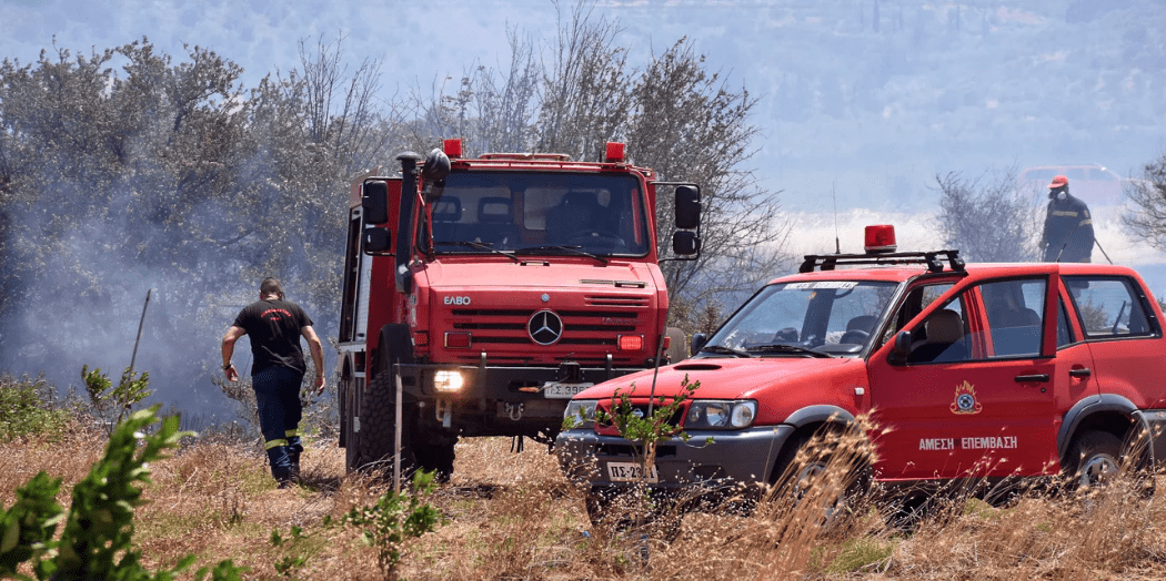 Πυρκαγιά σε χαμηλή βλάστηση στη Νεστάνη Αρκαδίας