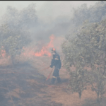 Πυρκαγιά σε χαμηλή βλάστηση στην Σπιάντζα Ηλείας