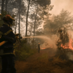 Φωτιά: Έσπασαν κάθε ρεκόρ οι καμένες εκτάσεις στην Ευρώπη