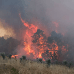 Πυρκαγιά σε οικοπεδικό χώρο στη Νεάπολη Κορυδαλλού - Άμεση κινητοποίηση της πυροσβεστικής