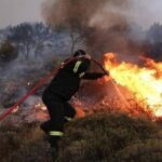 Πυρκαγιά σε χαμηλή βλάστηση στα Οινόφυτα Βοιωτίας