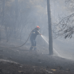 Πυρκαγιά σε δασική έκταση στο Ληξούρι Κεφαλονιάς - Άμεσα τέθηκε υπό μερικό έλεγχο