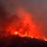 Πυρκαγιά σε δασική έκταση στην περιοχή Πύρριχος στην Μάνη