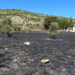 Υπό μερικό έλεγχο η πυρκαγιά στην περιοχή Τουλούπα Χάνι Μεσσηνίας