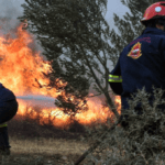 Σύλληψη για πυρκαγιά εντός οικοπεδικού χώρου στην Ηγουμενίτσα