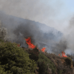 Πυρκαγιά σε δασική έκταση στην Περαχώρα Κορινθίας