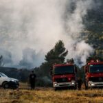 Πυρκαγιά σε δασική έκταση στην Φυλή Αττικής κοντά στο γήπεδο του Θρασύβουλου - Ισχυρές δυνάμεις στο σημείο