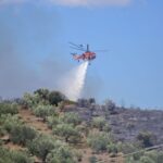 Πυροσβεστική: 25 δασικές πυρκαγιές εκδηλώθηκαν το τελευταίο 24ωρο (11/09/2022)