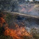 Πυρκαγιά σε έκταση με καλάμια στη Σπιάντζα Ηλείας