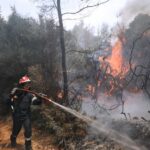 Πυροσβεστική: 22 δασικές πυρκαγιές εκδηλώθηκαν το τελευταίο 24ωρο (04/09/2022)