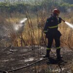 Σύλληψη για πυρκαγιά από αμέλεια σε γεωργική έκταση στην Εύβοια