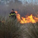 Πυροσβεστική: 60 αγροτοδασικές πυρκαγιές εκδηλώθηκαν το τελευταίο 24ωρο (10/10/2022)