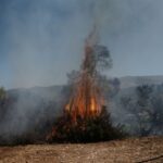 Σύλληψη για πυρκαγιά σε γεωργική έκταση στην κοινότητα Αφρατίου Χαλκίδας