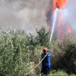 Πυρκαγιά σε δασική έκταση στην περιοχή Αστεραίικα Ηλείας