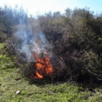 Διοικητικό πρόστιμο για πυρκαγιά στην περιοχή Άγιος Ιωάννης Κορινθίας