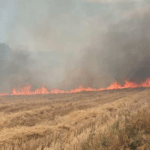 Πρόστιμο για πυρκαγιά σε ξηρά χόρτα εντός οικοπεδικού χώρου στην Πέλλα