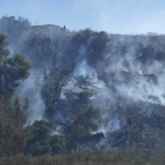 Άμεσα τέθηκε υπό μερικό έλεγχο πυρκαγιά σε αγροτοδασική έκταση στην περιοχή των Οινοφύτων (Φωτό)