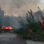 Πυρκαγιά σε έκταση με καλαμιές πίσω από το Δημοτικό Στάδιο Καλαμπάκας