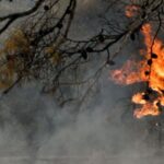 Πυροσβεστική: 52 αγροτοδασικές πυρκαγιές εκδηλώθηκαν το τελευταίο 24ωρο (06/11/2022)