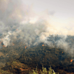 Meteo: Περίπου 200.000 στρέμματα κάηκαν στην Ελλάδα το 2022