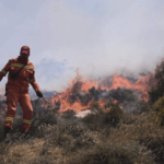 Πυροσβεστική: 41 αγροτοδασικές πυρκαγιές εκδηλώθηκαν το τελευταίο 24ωρο (11/11/2022)