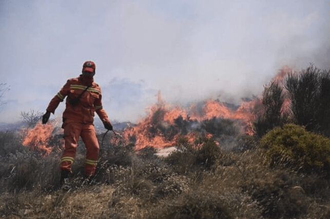 Πυροσβεστική: 41 αγροτοδασικές πυρκαγιές εκδηλώθηκαν το τελευταίο 24ωρο (11/11/2022)