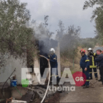 Πυρκαγιά σε μελισσοκομικές εγκαταστάσεις στην περιοχή Ράσοντας Ψαχνών Ευβοίας