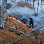 Συνεχίζεται η επιχείρηση κατάσβεσης της πυρκαγιάς στο Παπίκιο Όρος