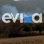 Πυρκαγιά σε αγροτική έκταση στο Αυλωνάρι Ευβοίας (Φωτό)