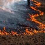 Σύλληψη και πρόστιμο για πυρκαγιά στην Αργολίδα