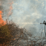 Σύλληψη για πυρκαγιά σε γεωργική έκταση στην Εύβοια