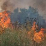 Πυρκαγιά σε έκταση με καλάμια στην Καλύβια Ηρακλείου