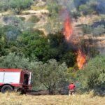 Σύλληψη για πυρκαγιά σε γεωργική έκταση στην Χαλκίδα