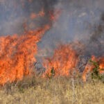 Πυρκαγιά σε έκταση με καλάμια στην Γέρα Λέσβου